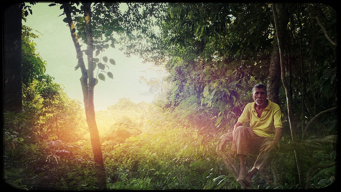 (Aktuelles Lieblings-Bild)